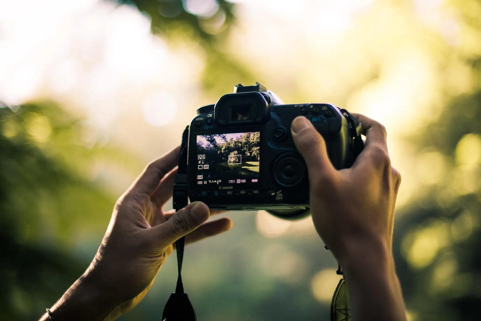 Tipos de objetivos fotográficos: Guía teórica y práctica