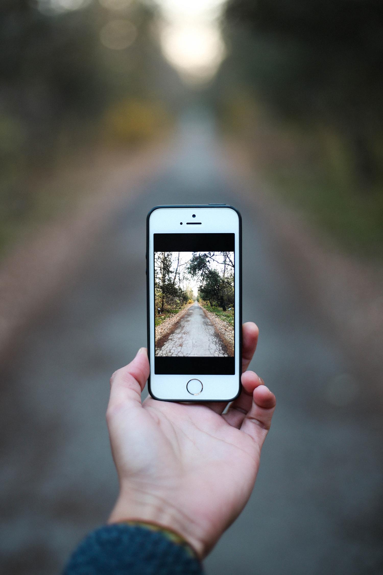 Camino en la fotografía