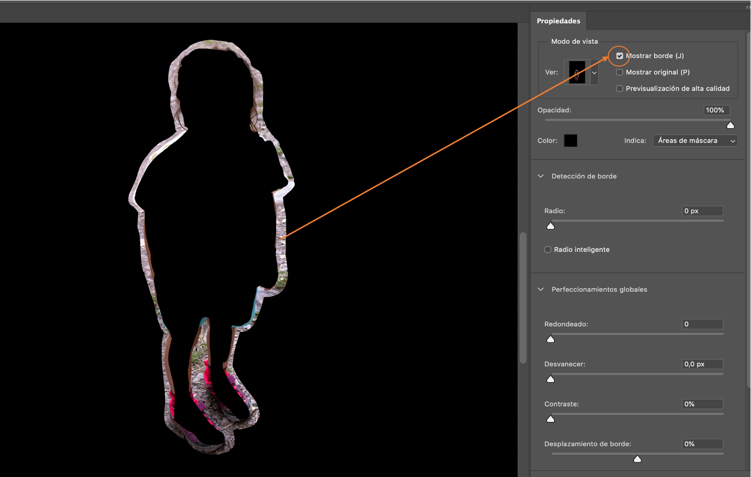 Captura de pantalla de muestra de selección y ajustes en Photoshop