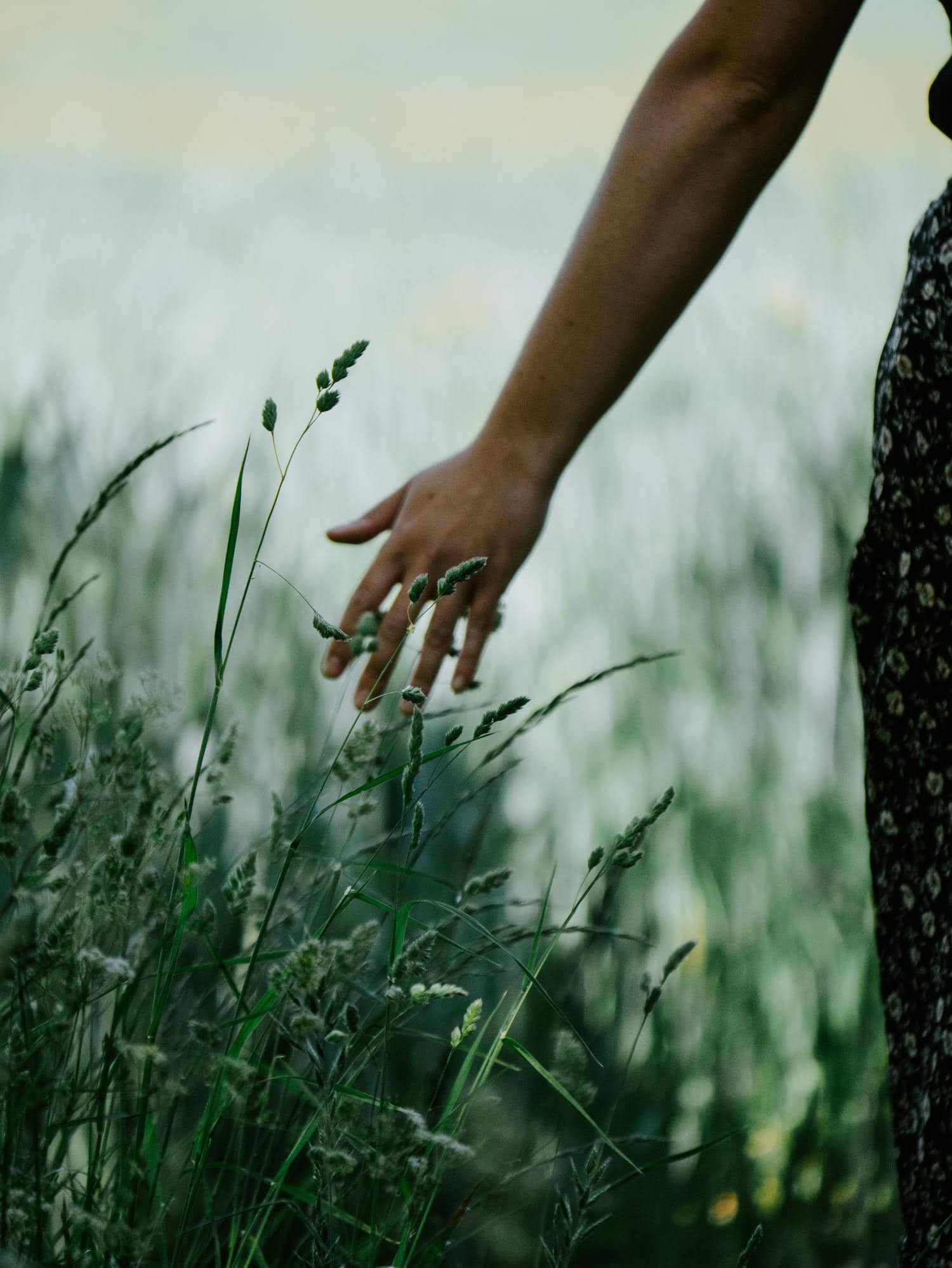 plantas mujer verde