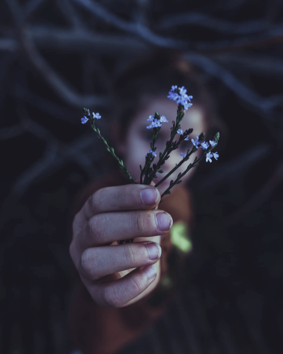 Niña con plantas en la mano ganadora del Fotoreto78