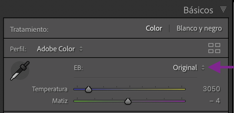 White balance in Basic panel