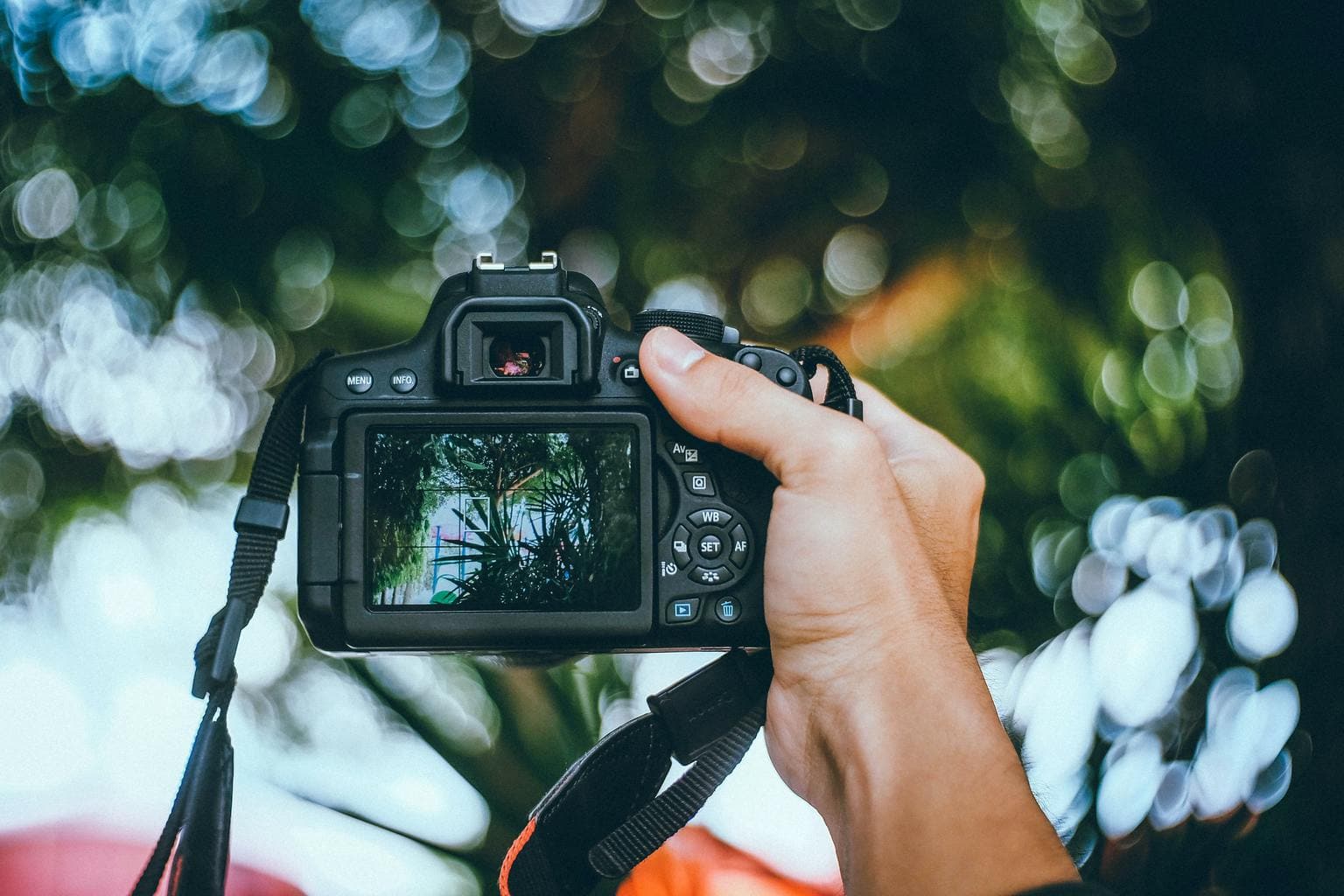 14.500+ Luz Camara Accion Fotografías de stock, fotos e imágenes