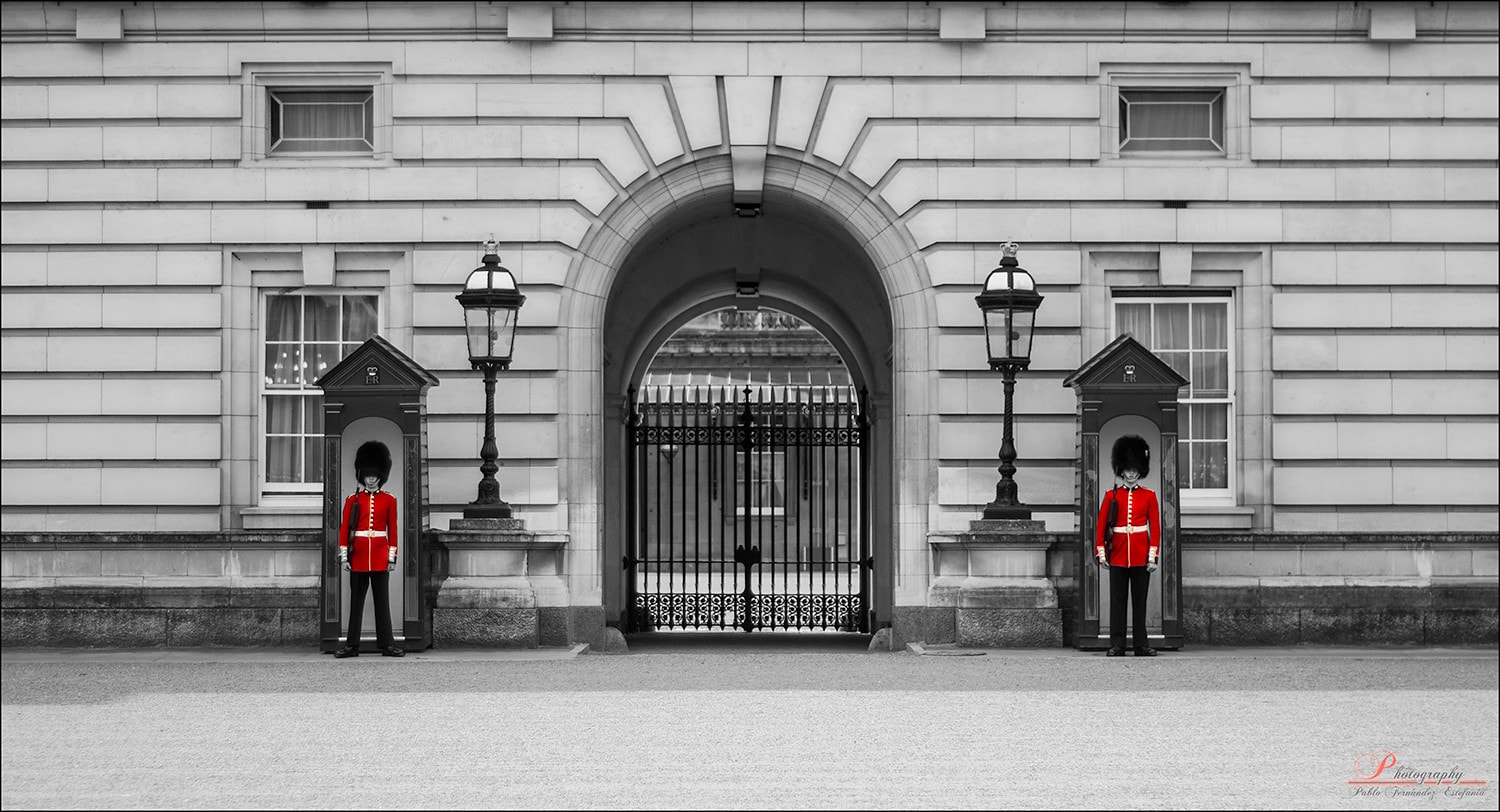 selective desaturated royal guard