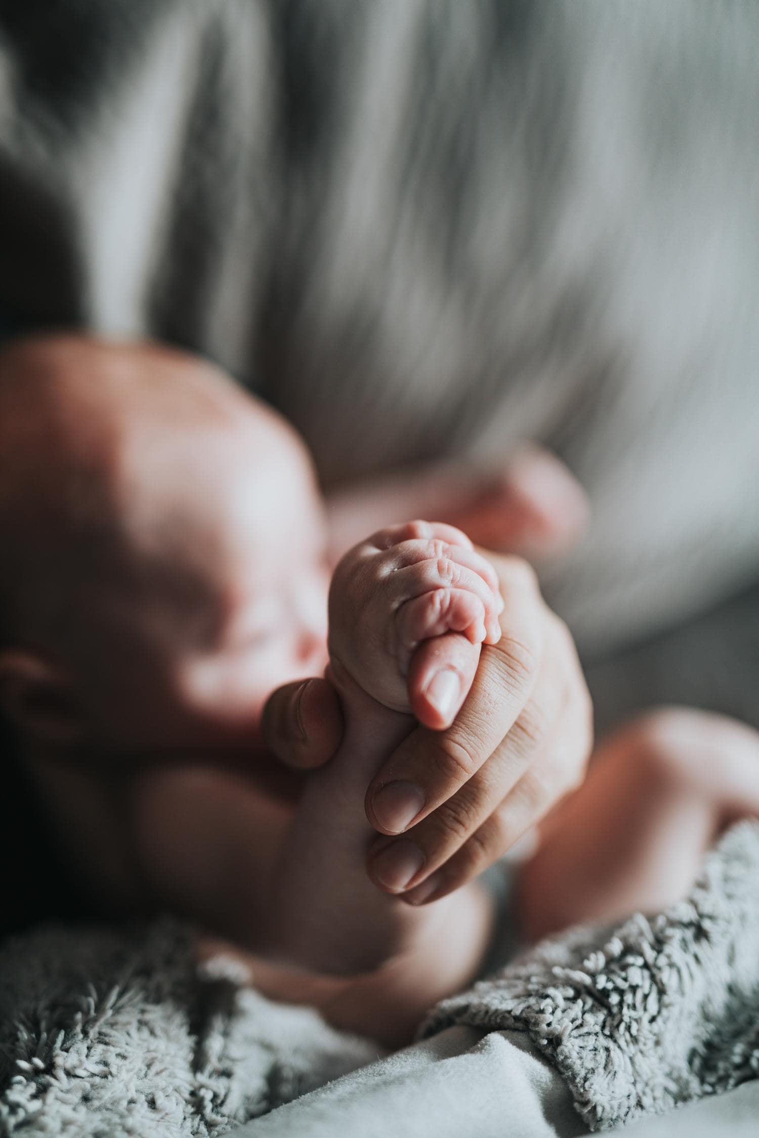 newborn photography