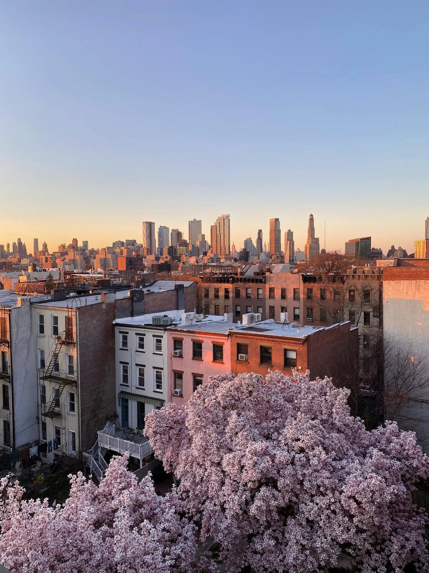 City in spring with flowering trees