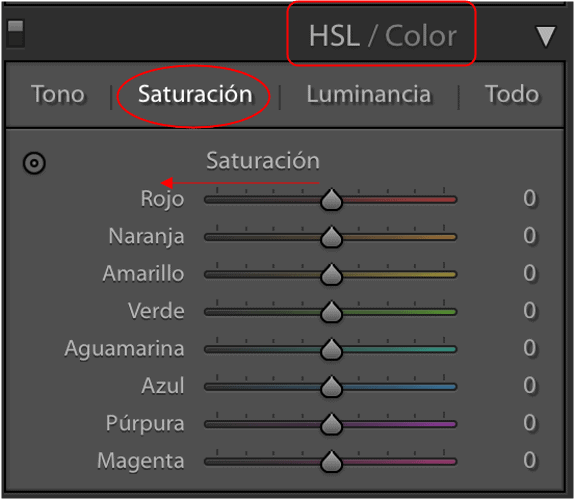 Lightroom herramienta saturación