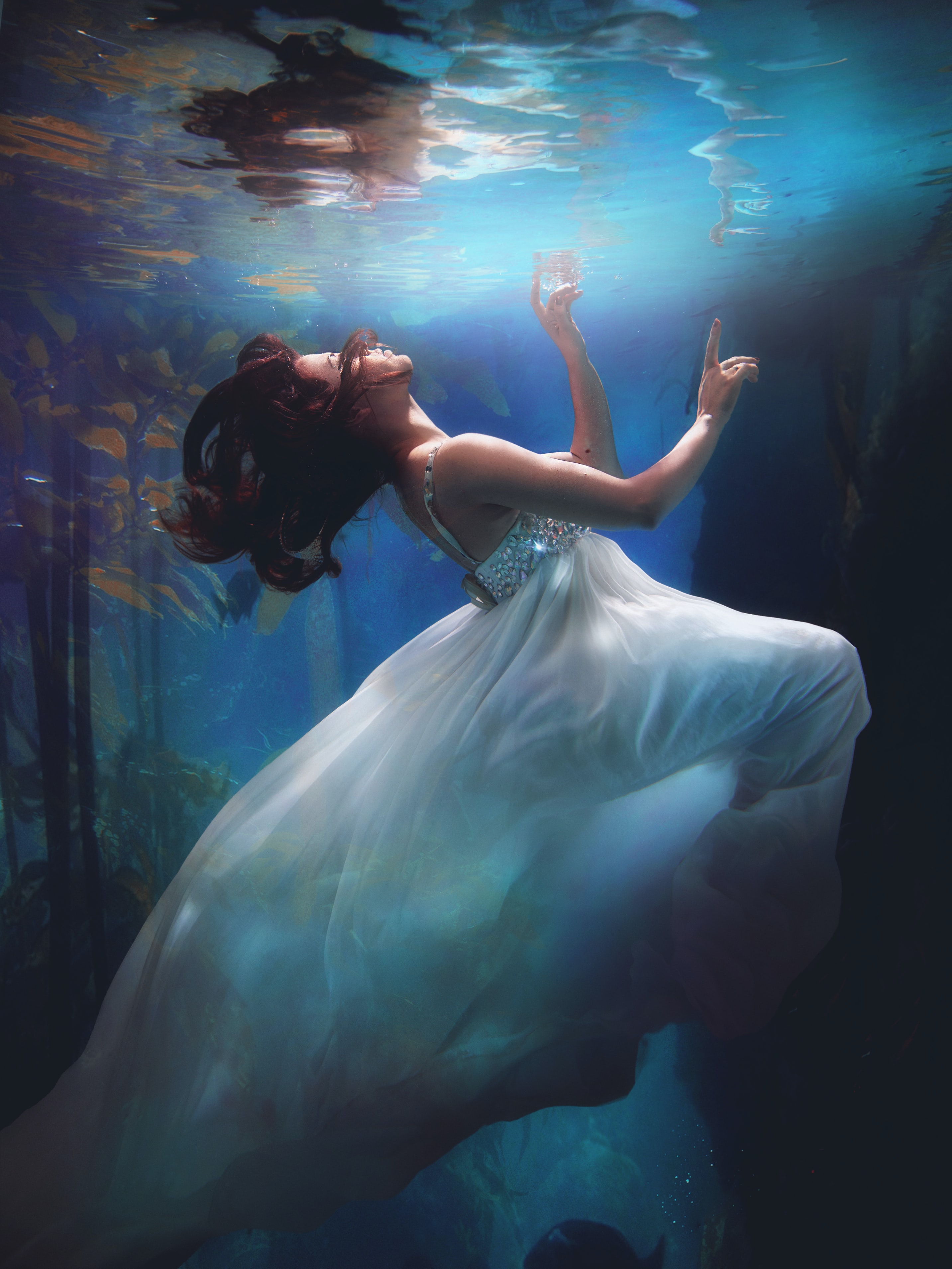 artistic photography underwater