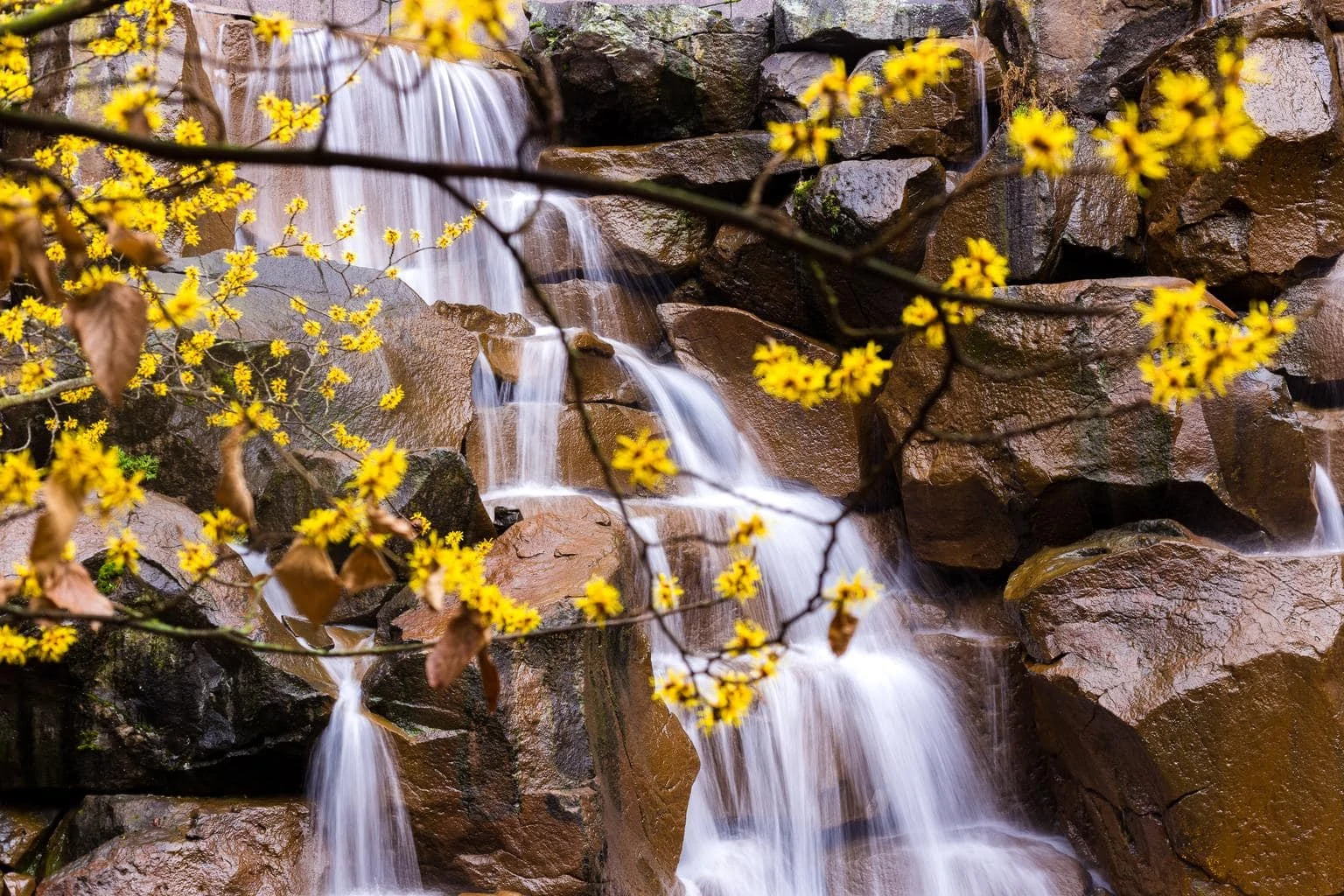 waterfall river spring