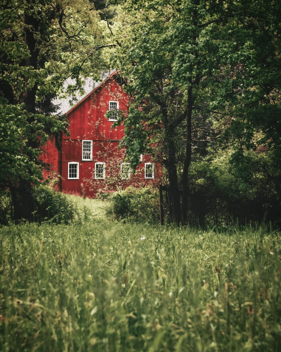 Fachada roja entre vegetación verde, ganadora de fotoreto99