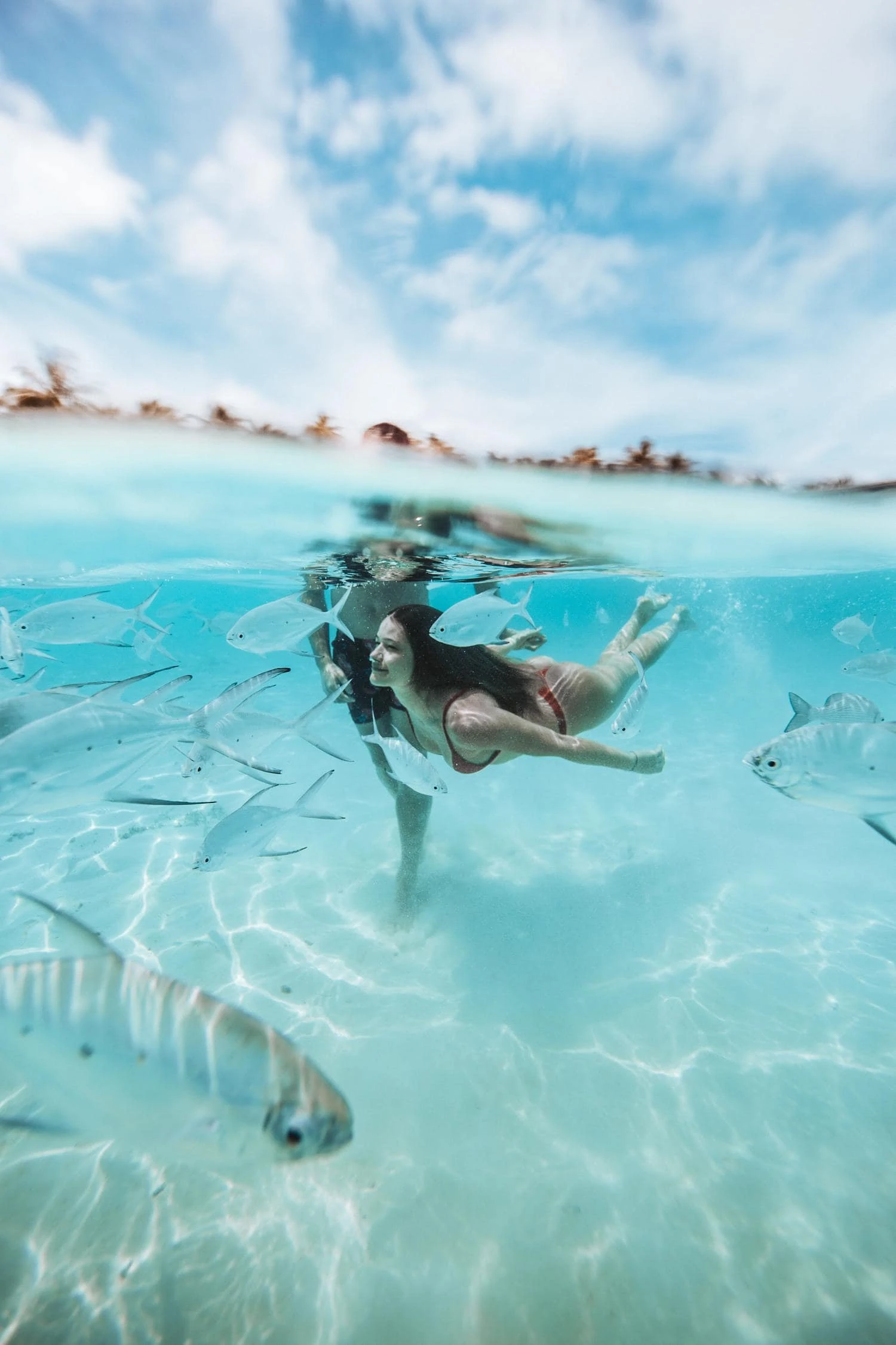 Couple surrounded fish underwater