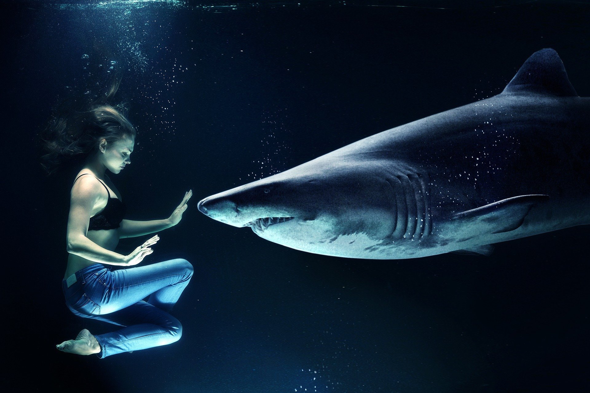 Montage of woman underwater in front of shark