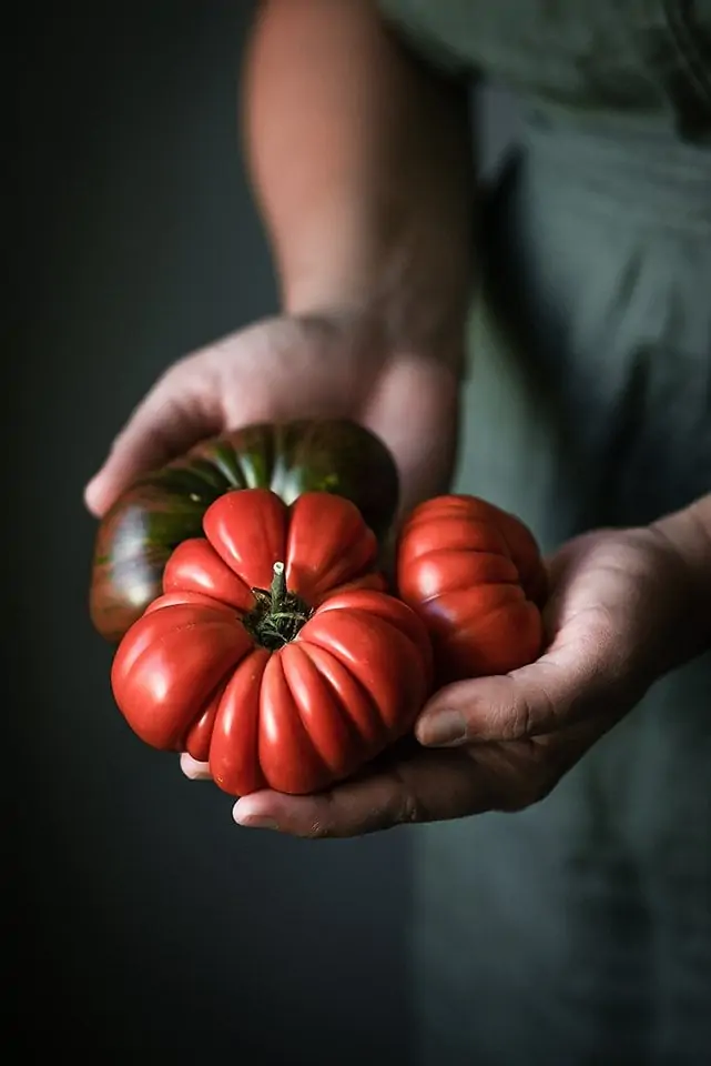 Tomatoes in hand made with Nikon Z5