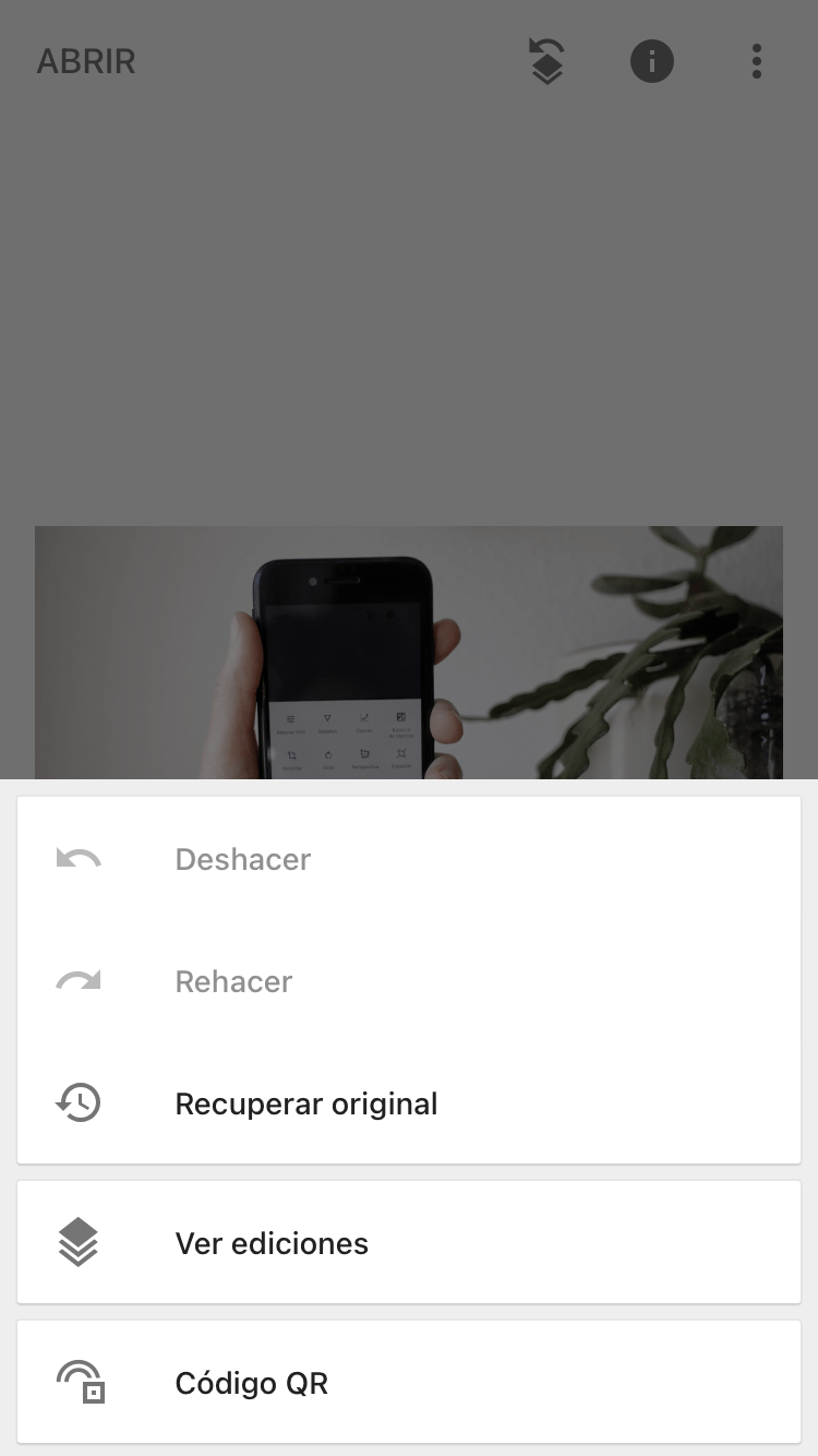 Opciones para deshacer cambios en snapseed