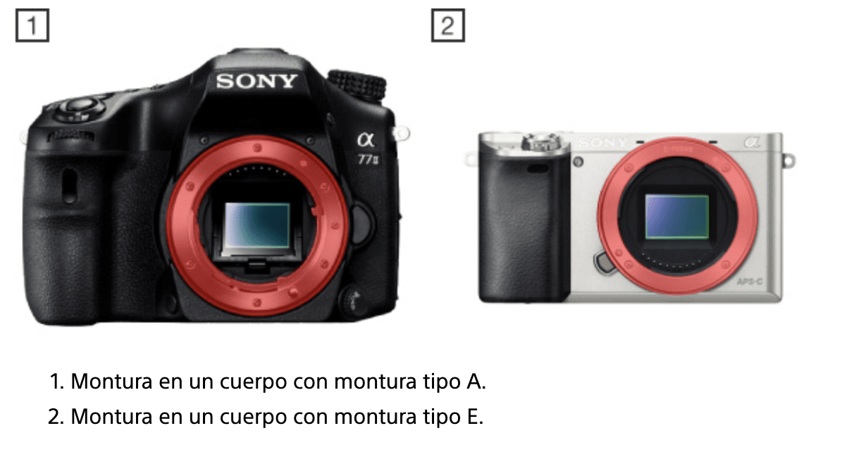 Cámaras de sony con montura A y E