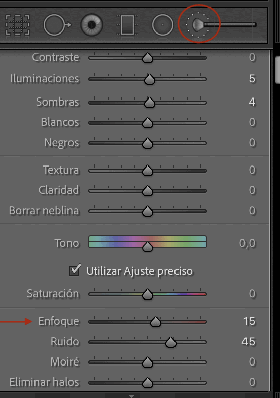 Ajustes de pincel en Lightroom para mejorar el enfoque