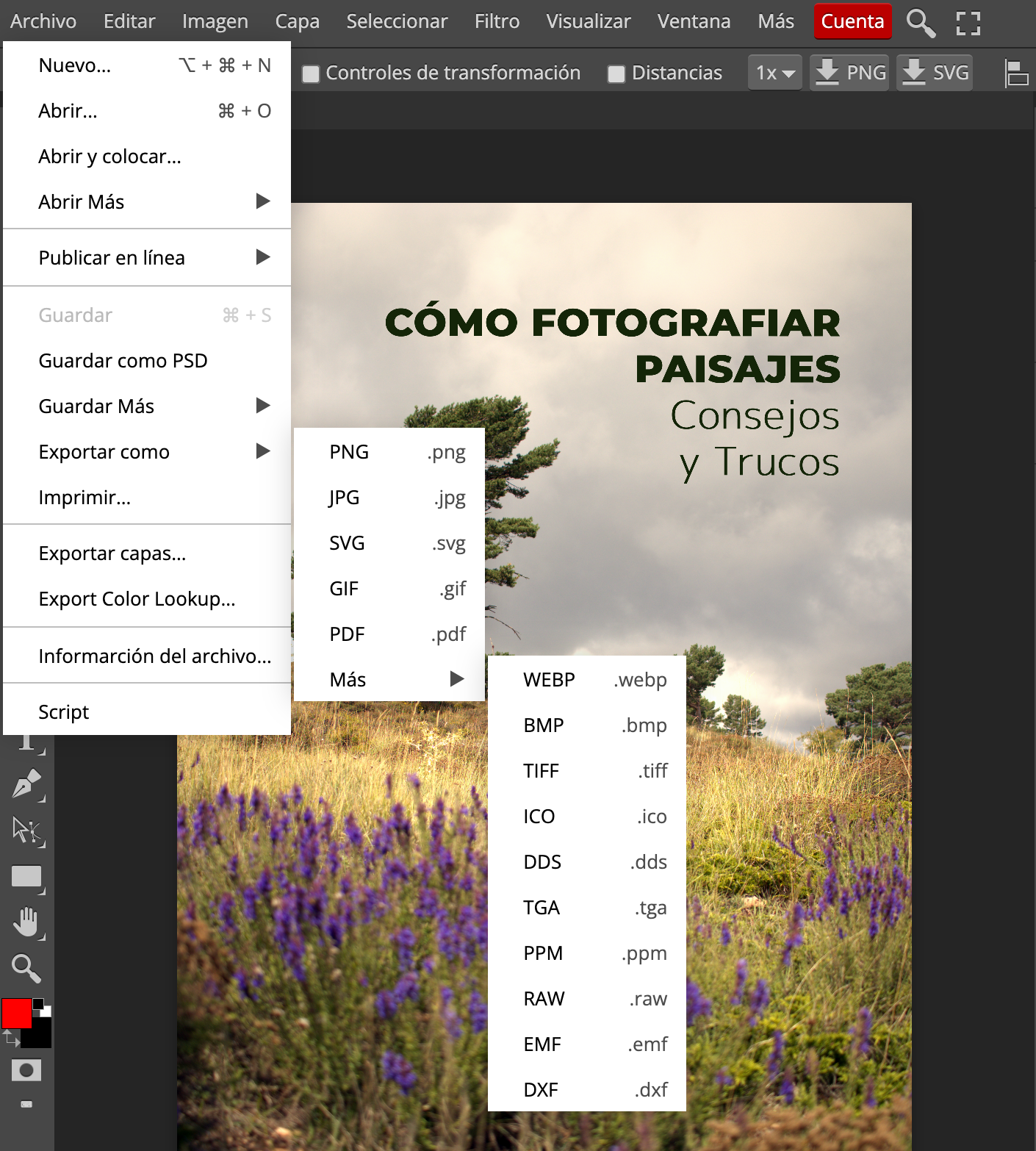 Export format options in Photopea