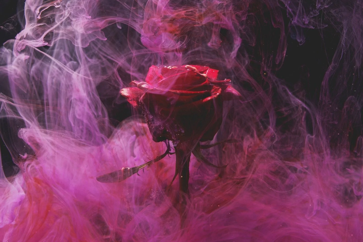 pink smoke