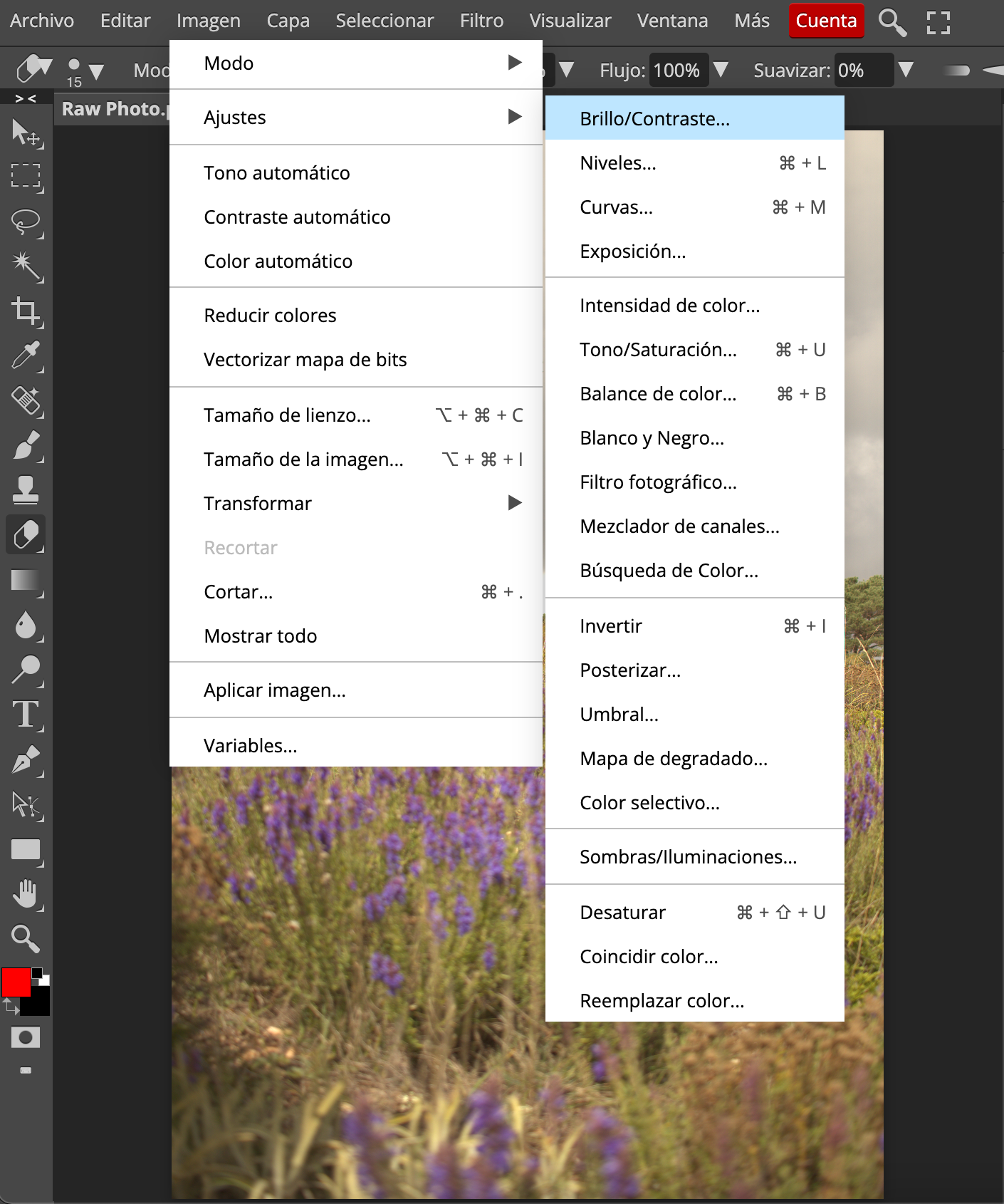 Image dropdown menu in Photopea