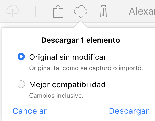 opciones descarga fotos iCloud