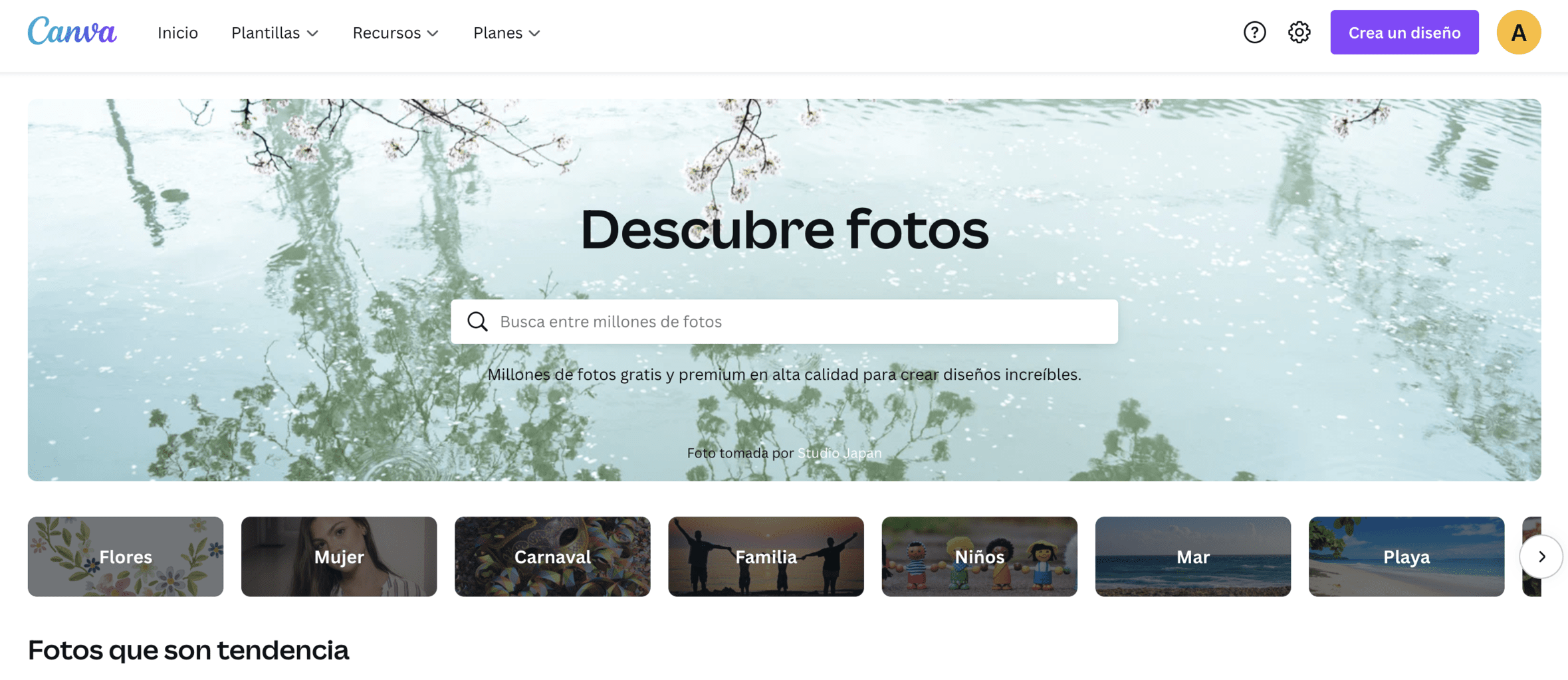 canva fotos sin copyright