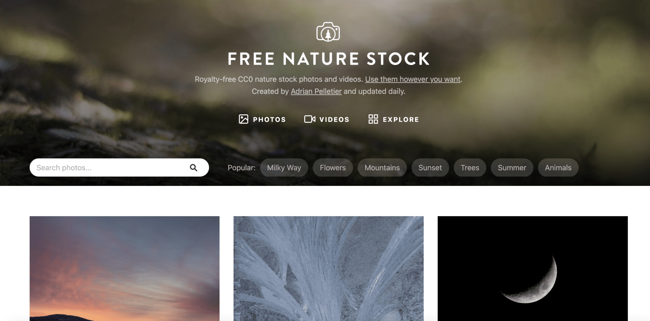 image bank free nature stock