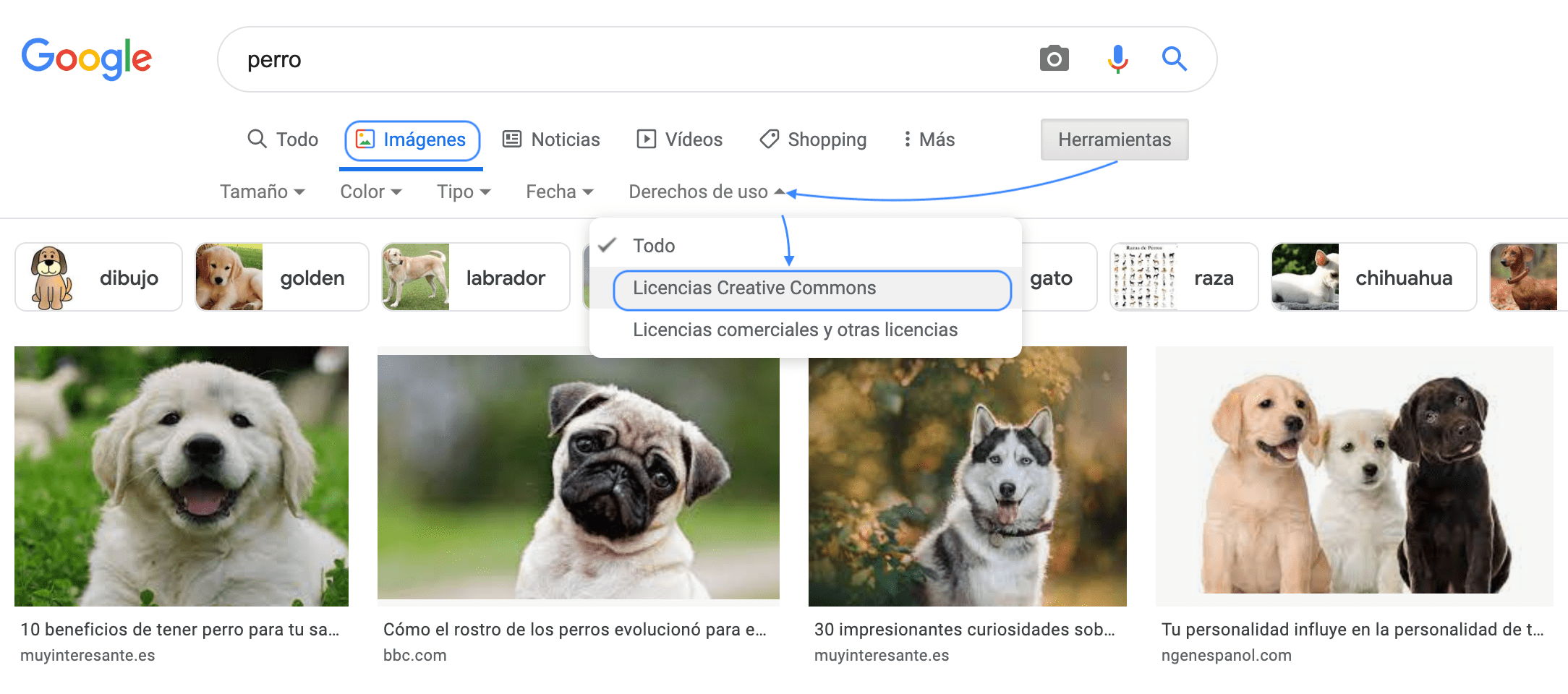 bancos de imágenes gratis: google