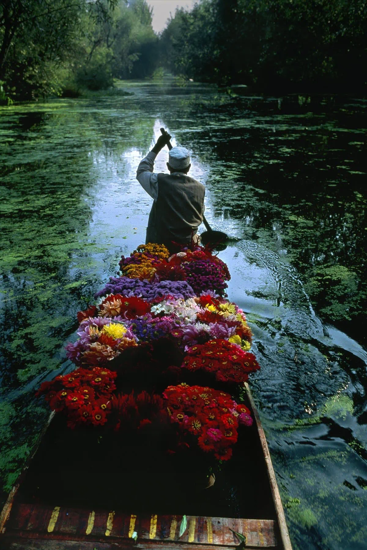 sell flowers steve mccurry