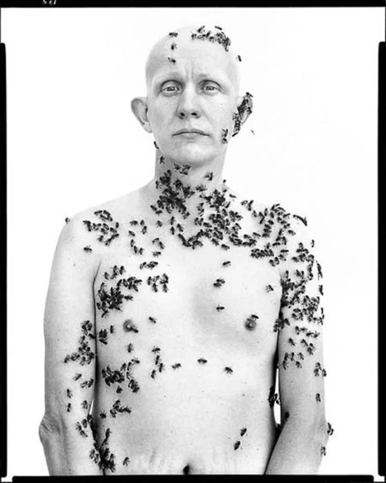 bee man richard avedon