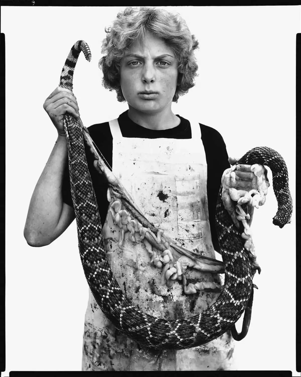 avedon snake boy