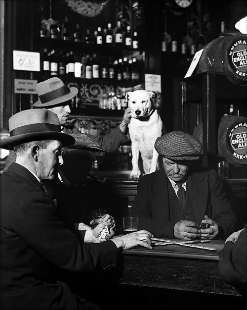 Gentlemen and dog in bar