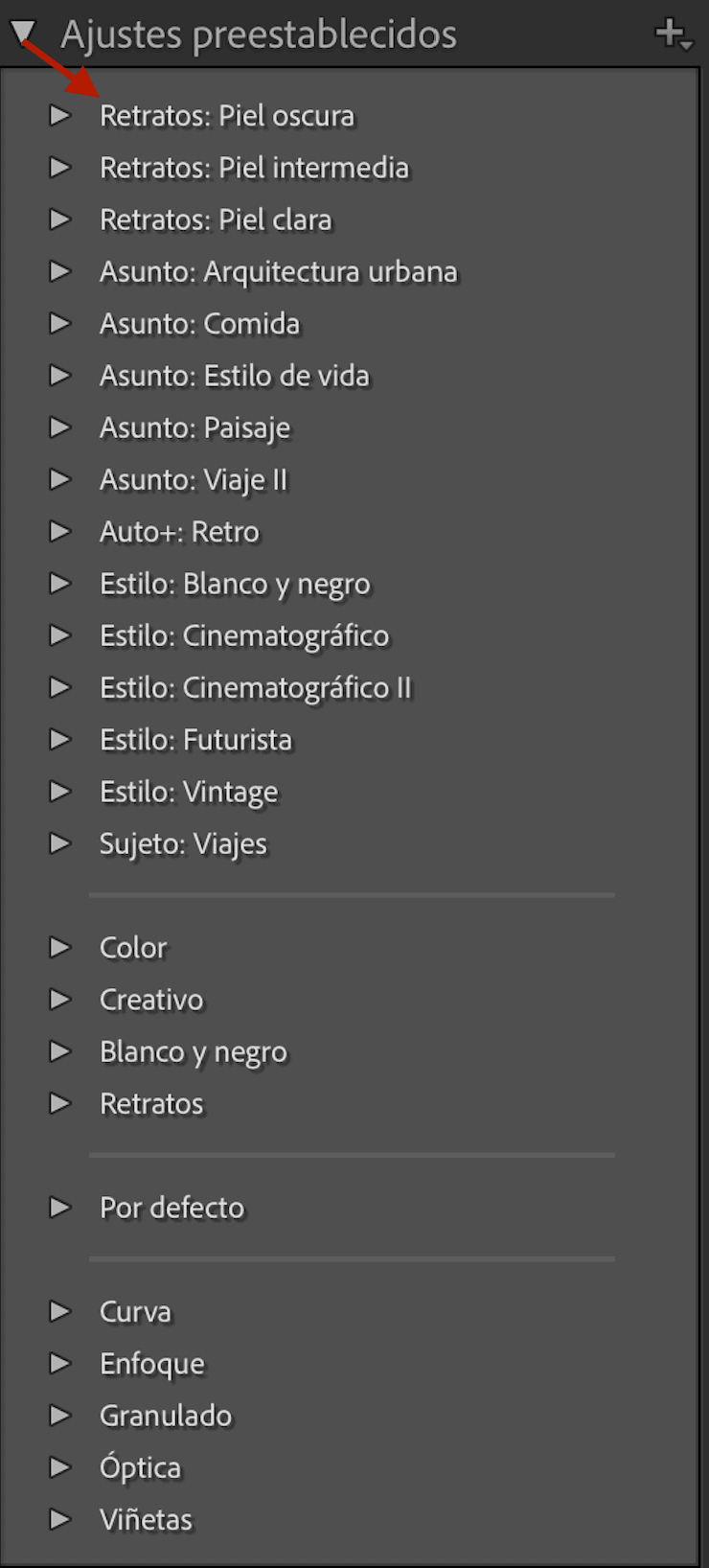 presets lightroom