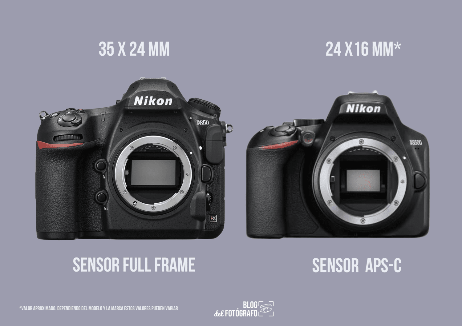 Full Frame VS APS-C ¿Qué es mejor? Blog del Fotógrafo