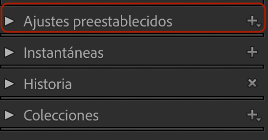 ajustes presets lightroom