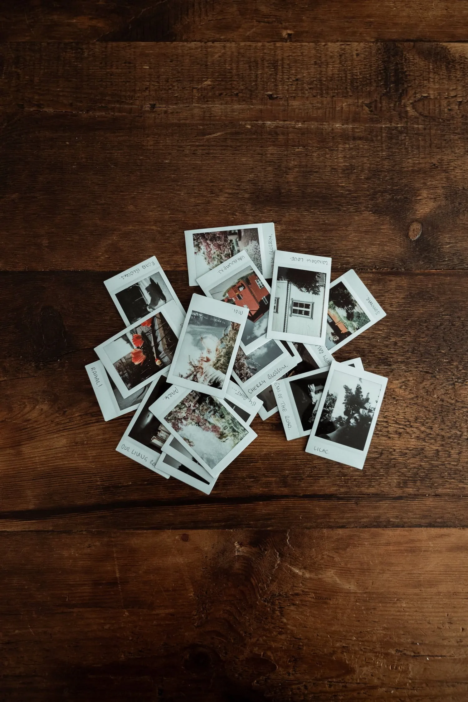 Instax Mini 11: El Regalo Que te Mereces