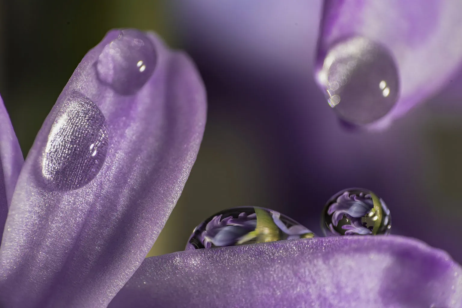 Fondo Hecho A Partir De Una Fotografía Macro De Una Malla Metálica