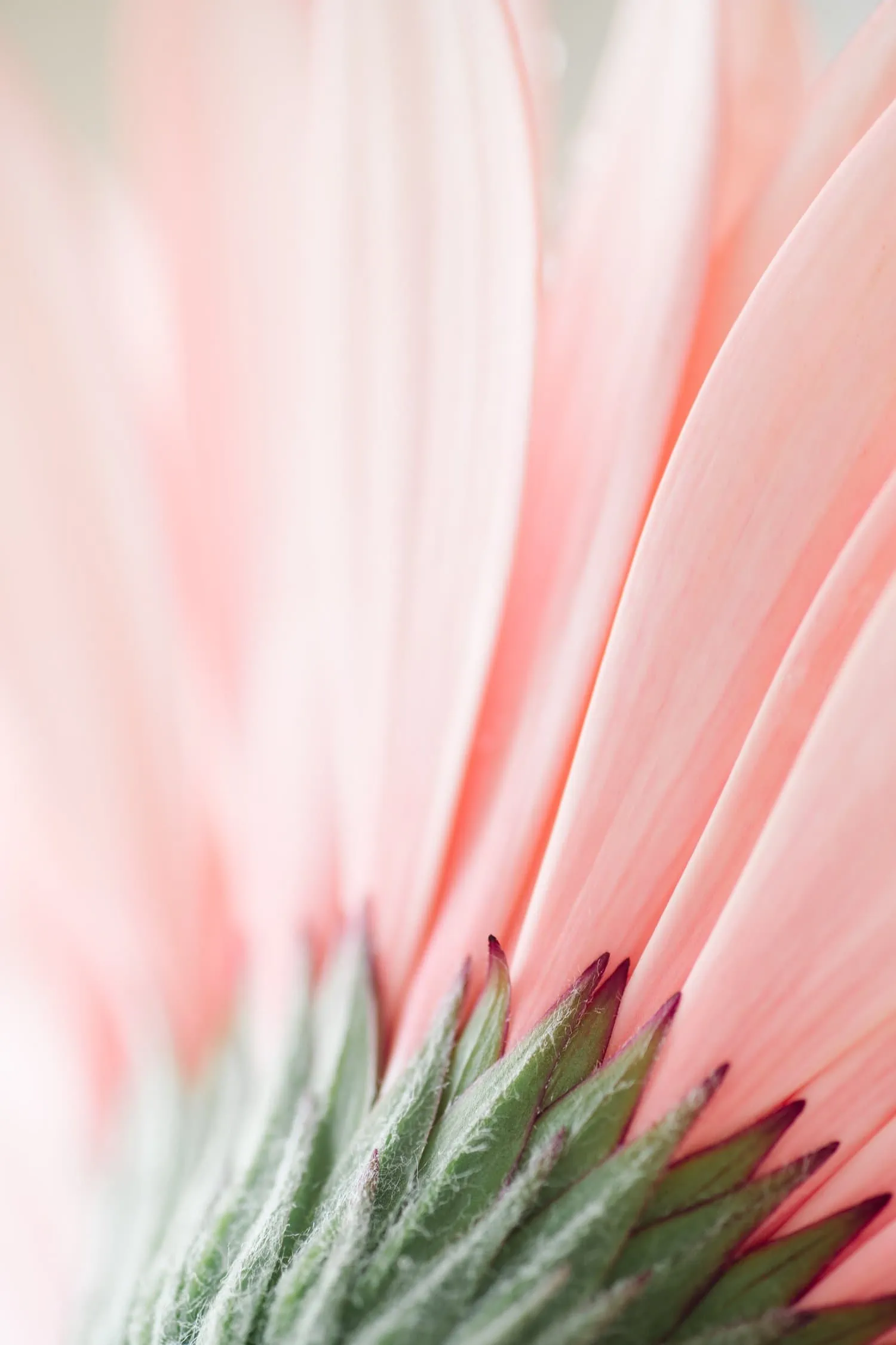 Fondo Hecho A Partir De Una Fotografía Macro De Una Malla Metálica