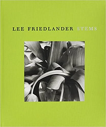 friedlander libro stems