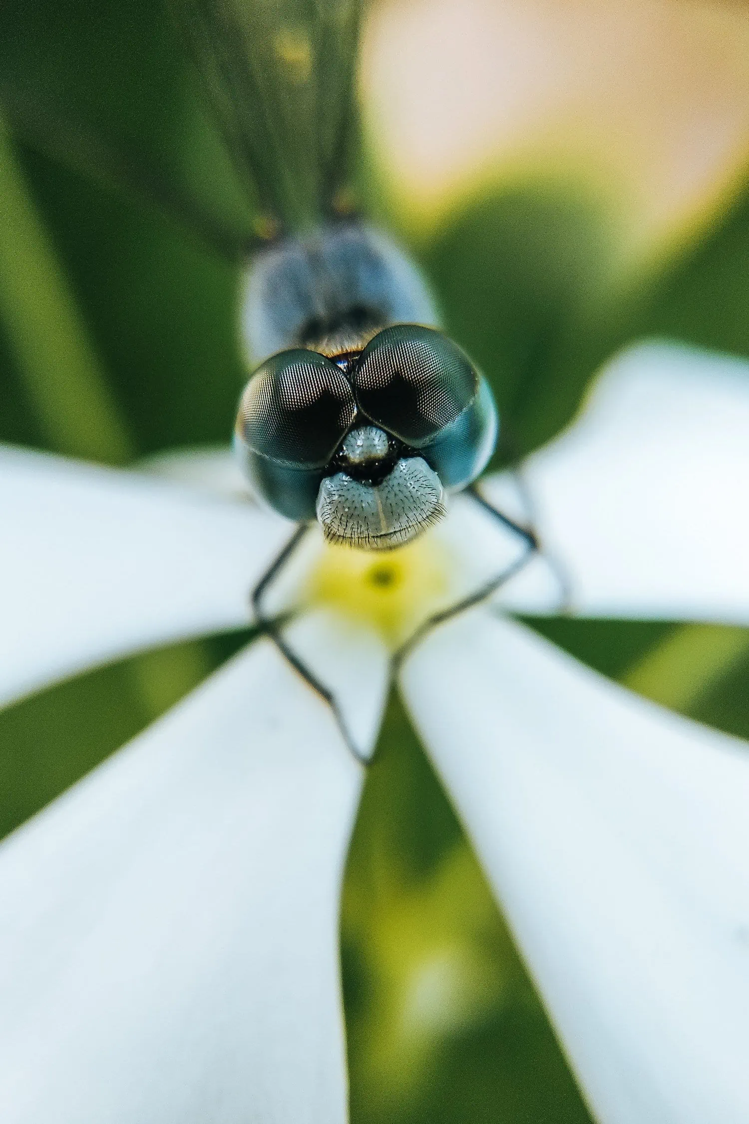 Fondo Hecho A Partir De Una Fotografía Macro De Una Malla Metálica