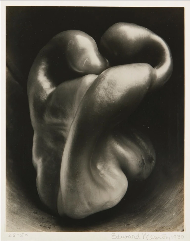 Pimiento en blanco y negro de edward weston