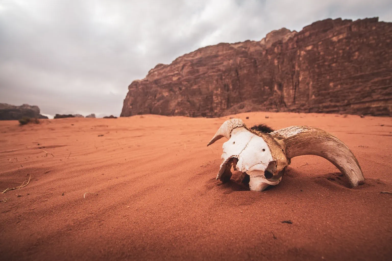 composición con centro de interés en fotos desierto