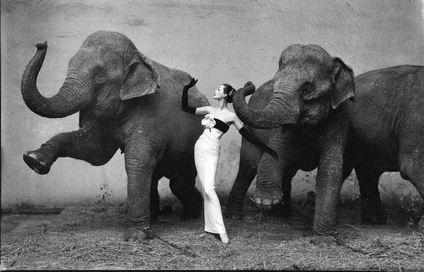 fotografías famosas, Richard Avedon