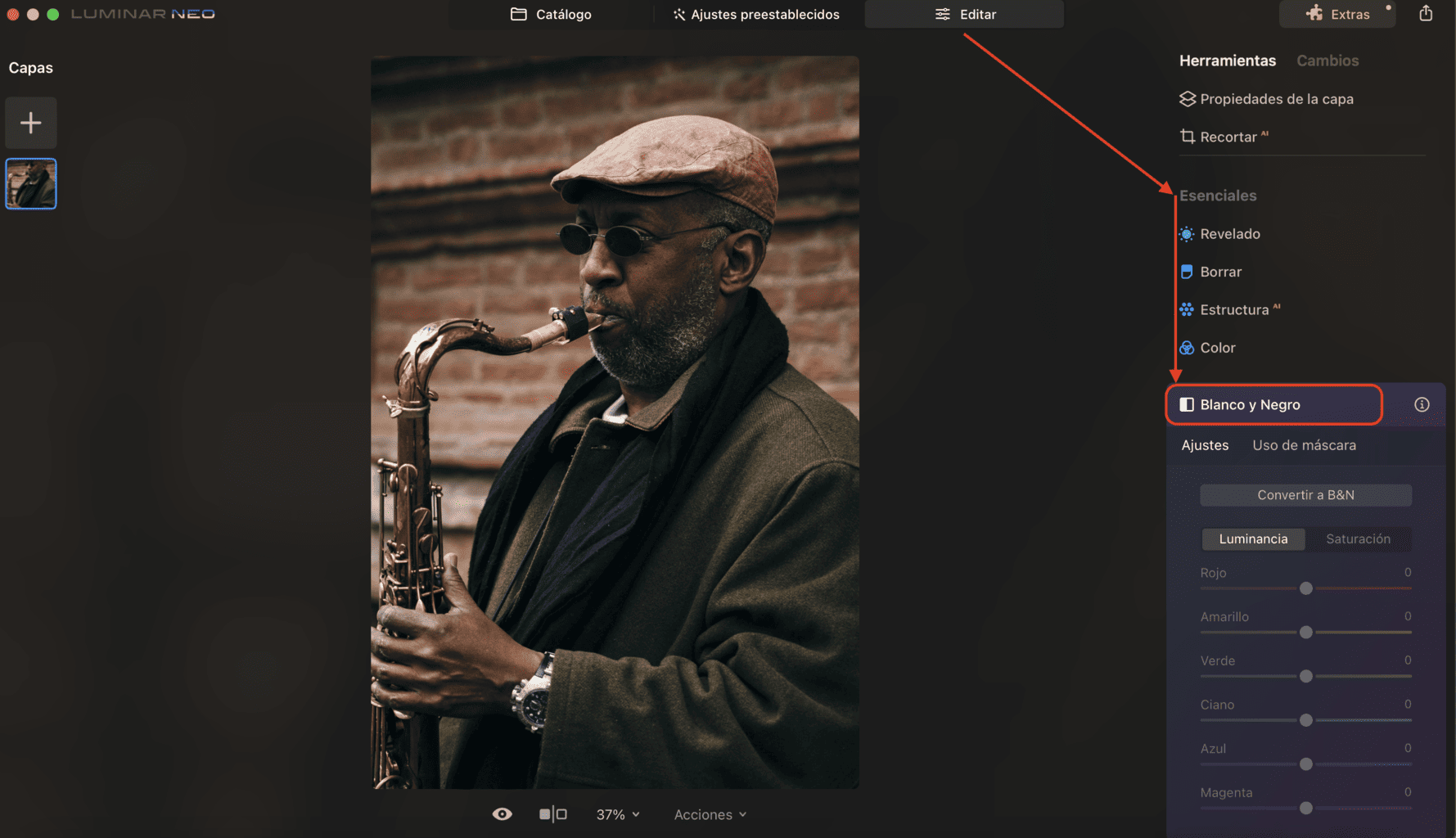 luminar neo edición blanco y negro