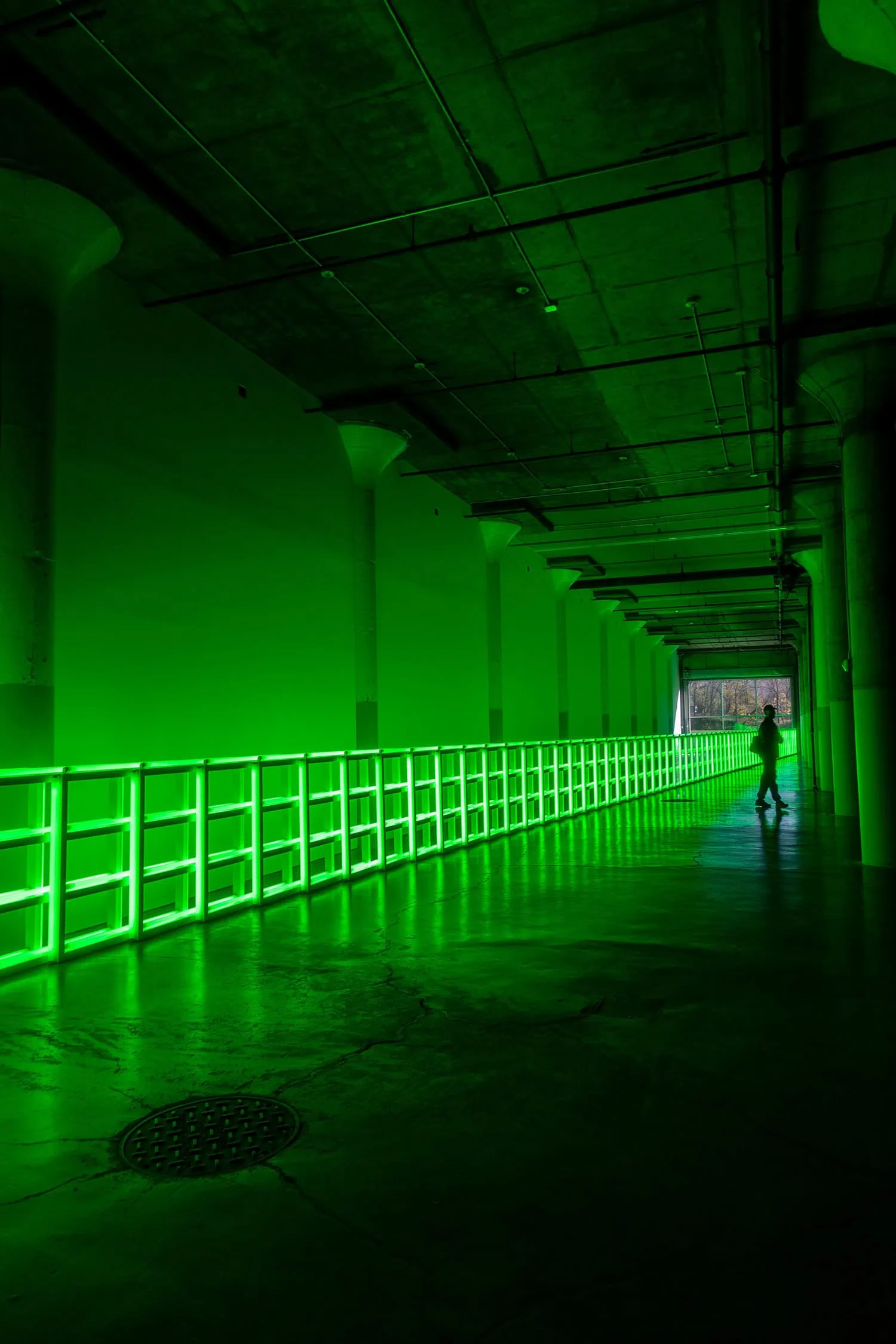 exposición de luces verdes