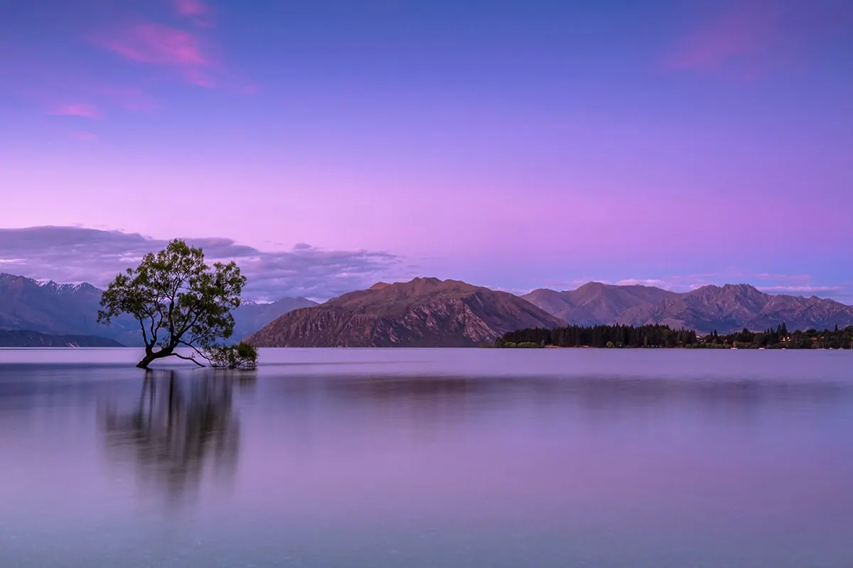 paisaje en tonos violetas