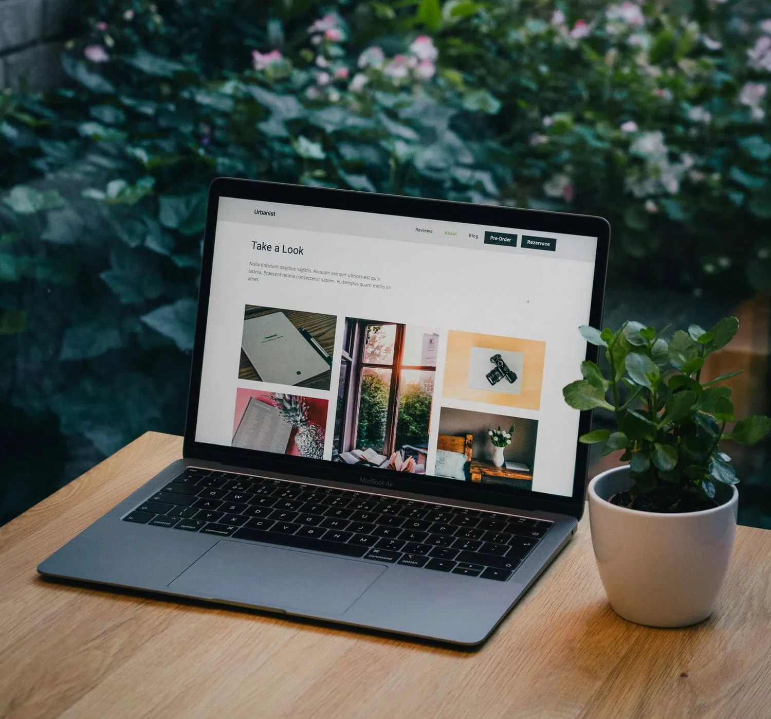 Marketing online para fotógrafos, crear página web portafolio