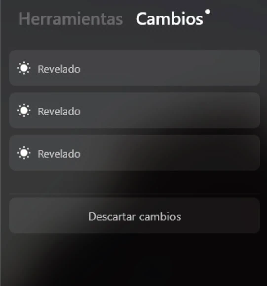 Sección cambios de ajustes Luminar Neo