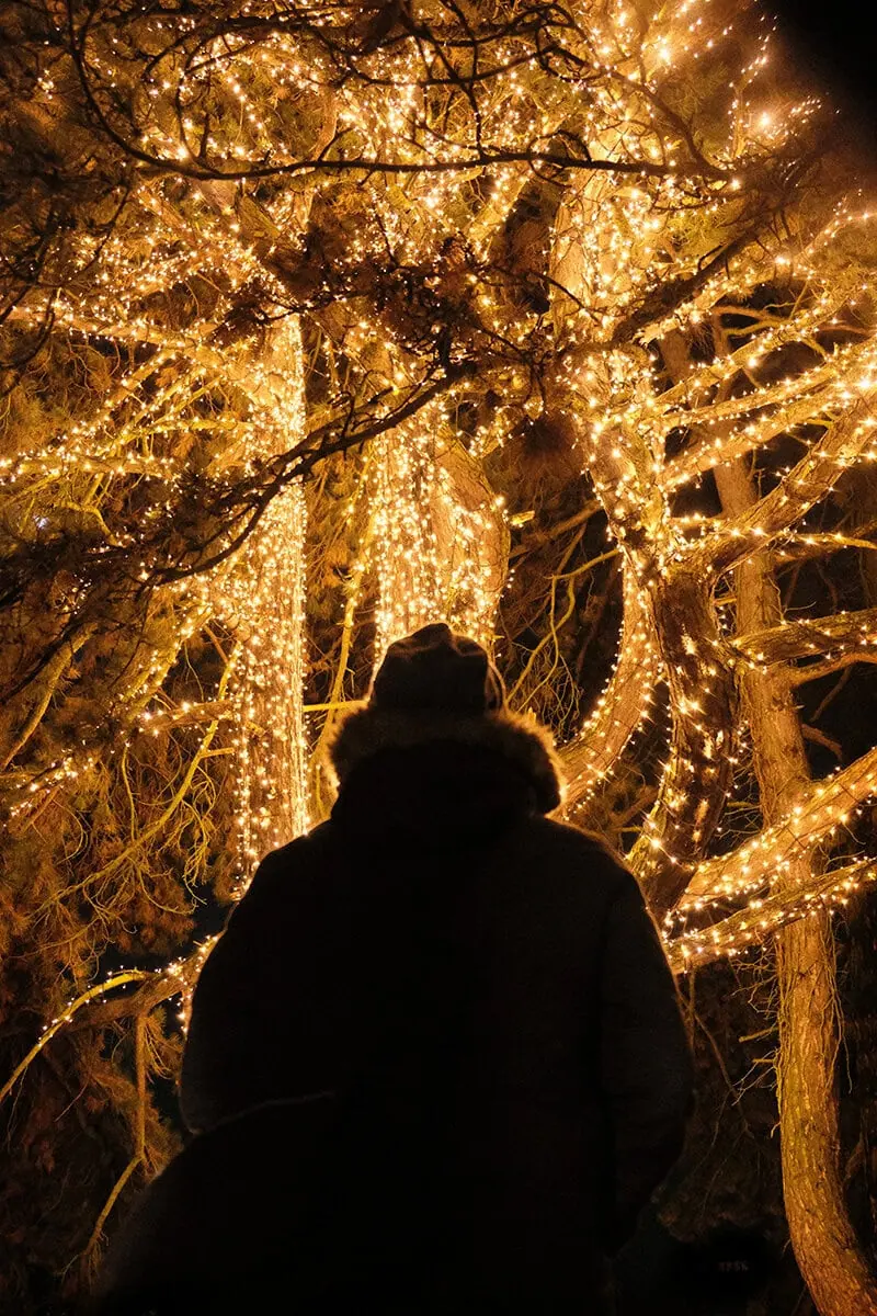 fotografía contraluz de navidad en exteriores