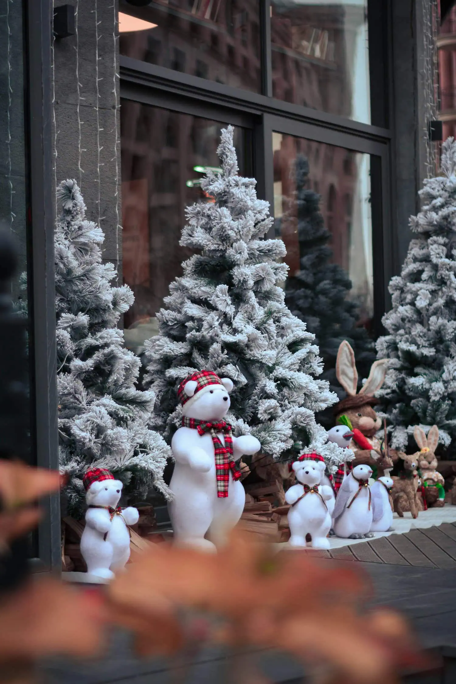 fotografía creativa de navidad exteriores