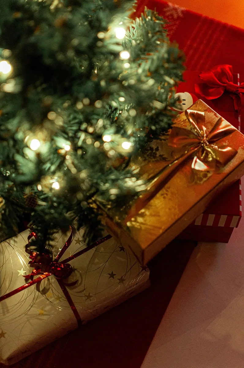 fotografías de regalos bajo el árbol